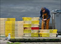 600 - SUR LES QUAIS - FAUCOMPRE JEAN-LUC - belgium <div